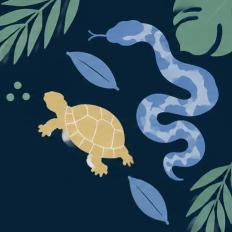スノー 2